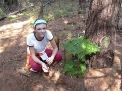1. - 8..., 31