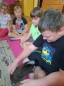 19. 6. 2024..., 1