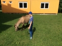 21. 6. 2019..., 24