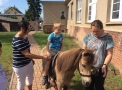 21. 6. 2019..., 21