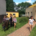 21. 6. 2019..., 8