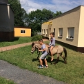 21. 6. 2019..., 1