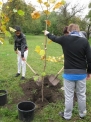 19. 10. 2012..., 12