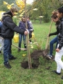 19. 10. 2012..., 6