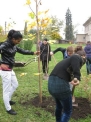19. 10. 2012..., 5