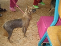 Od 4. dubna do..., 2