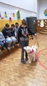 , 5