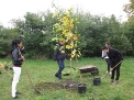 19. 10. 2012..., 9