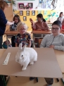 Ukázka králíků, 5. 4. 2023 | Základní škola a Praktická škola Neratovice