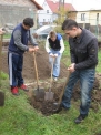 19. 10. 2012..., 4